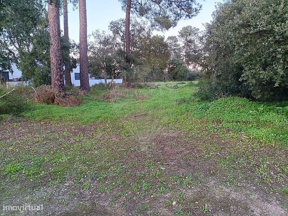 Terreno  para venda