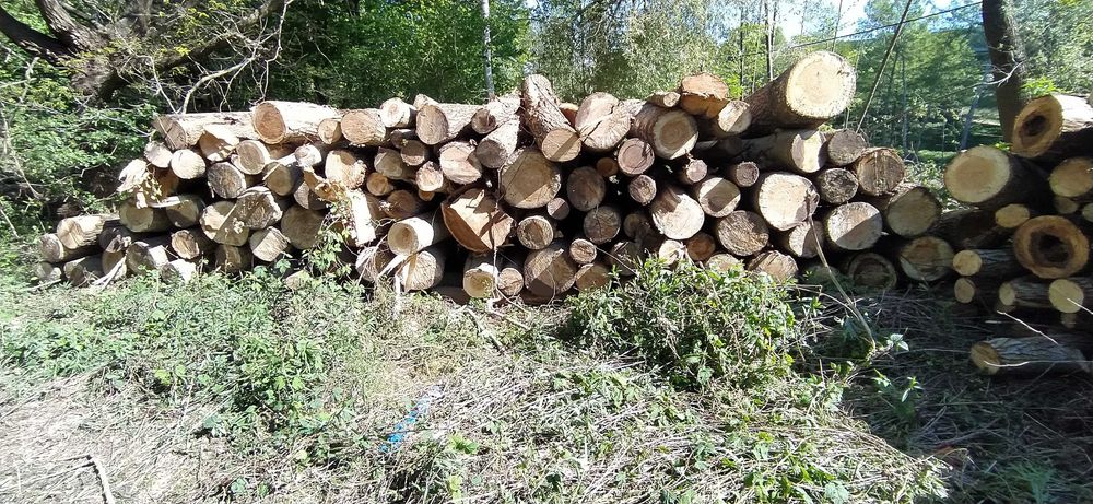 Drewno opałowe liściaste