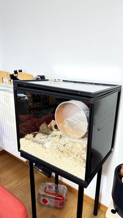 Nowoczesne Terrarium 60x55x50 + stolik, 1 lub 2 szt