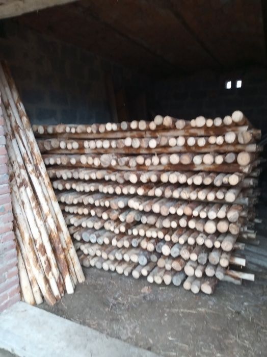 Kołki, słupki, bale, paliki do malin,sadu, na ogrodzenie,stemple 2,5m
