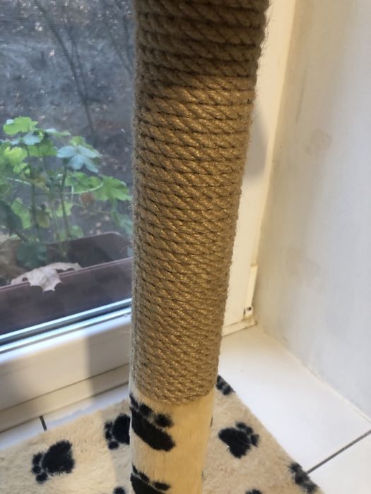 Підставка та переноска для котів