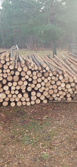 Stemple budowlane Słupki ogrodzeniowe