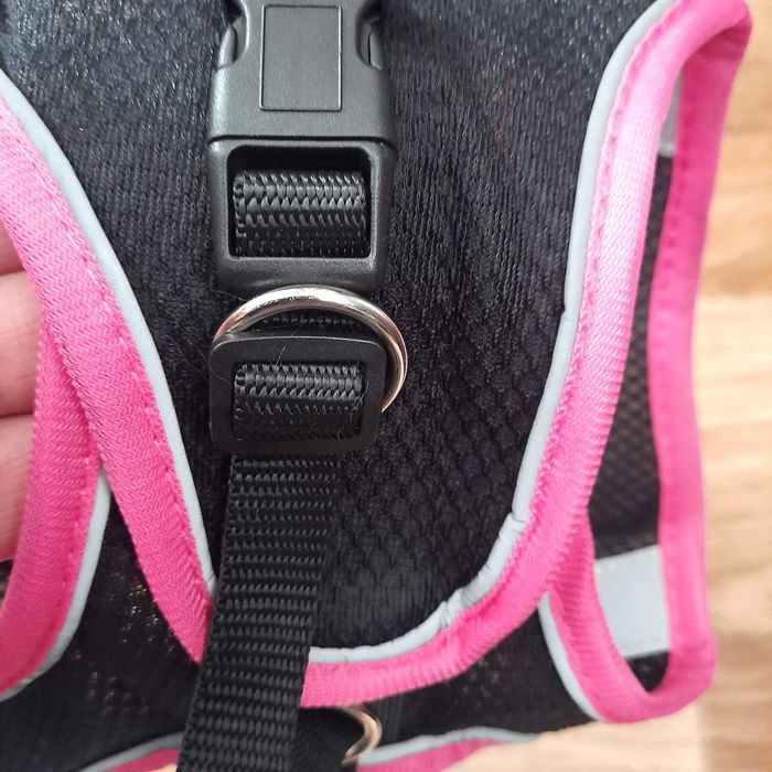 Шлейка для собак.