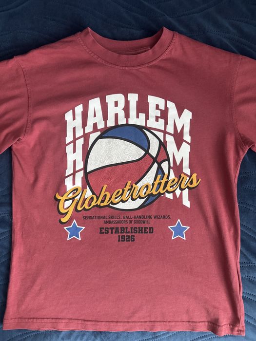 T shirt Zara 9-10 lat 140 cm chłopięca