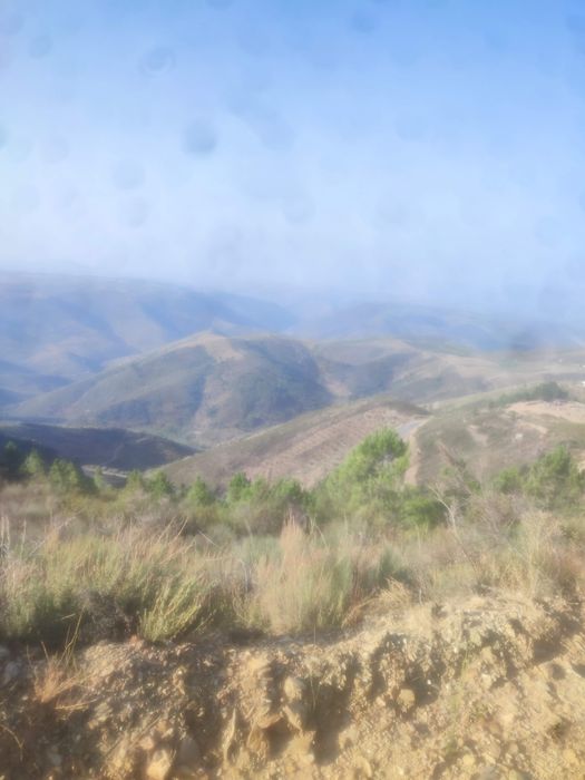 Terreno rústico em Moncorvo