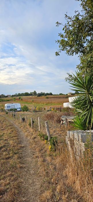 Terreno rústico em salreu, Estarreja