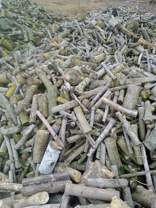 Продам дрова (клен)