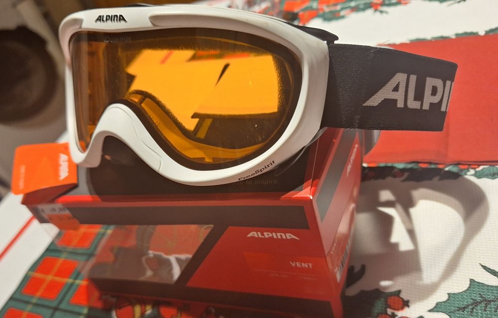 Alpina gogle stan idealny