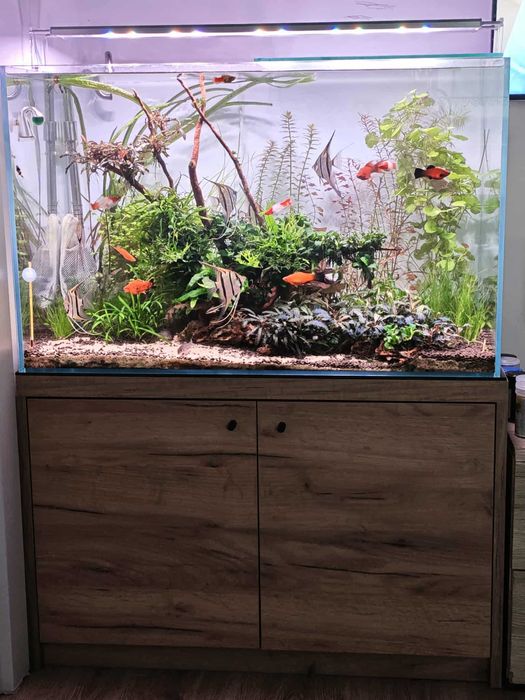 Zestaw akwariowy; akwarium FULL OPTIWHITE 80/45/50+szafka+lampa+filtr