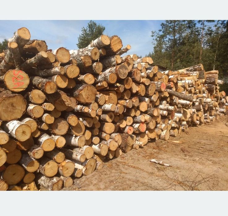 Drewno łupane liściaste oraz iglaste, kominkowe, opałowe