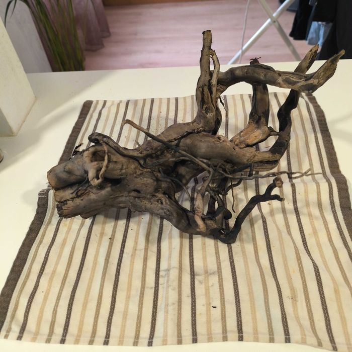 3 Troncos para aquário