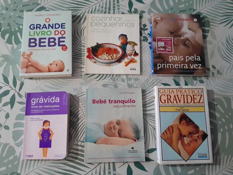 Conjunto de livros sobre gravidez e bebés