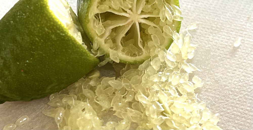 Vendo fruto Limão Caviar Verde | ao Kg ou unidade