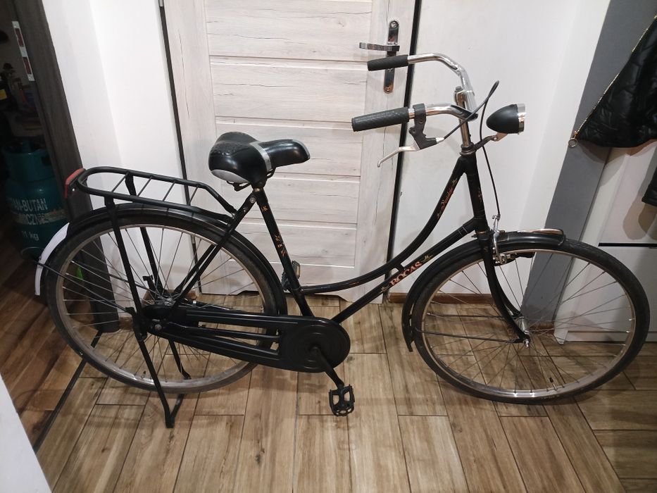 Damka Holenderka w oryginalnym stanie