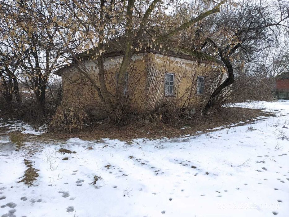 Продам будинок в селі Виблі, 40 сот. прив. землі