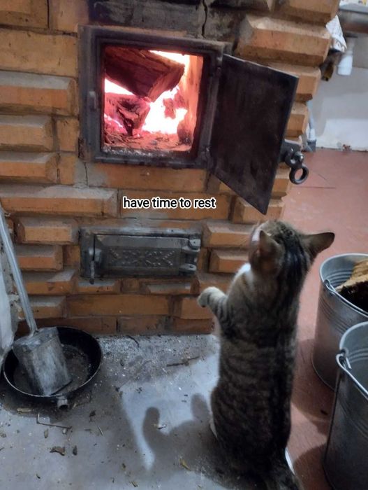 Продаю невеликий будиночок з великою ділянкою