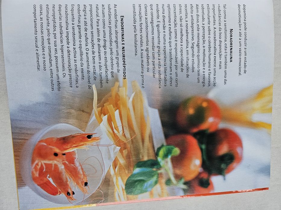 Receitas para a Boa Disposição Livro Marlisa Szwillus Círculo de Leito