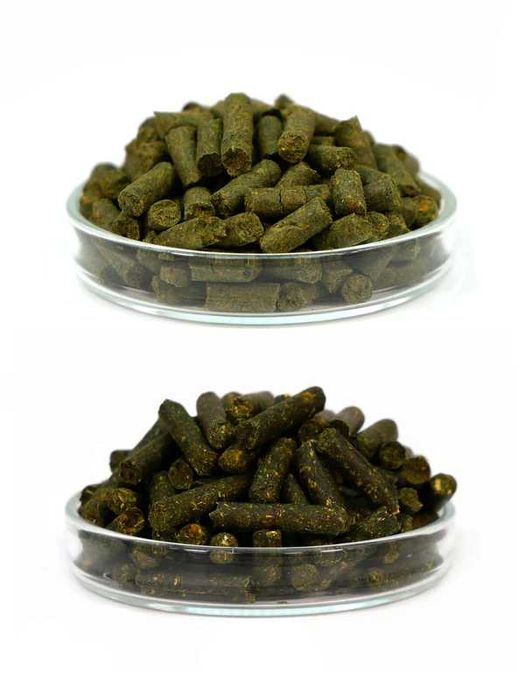 Pokarm dla krewetek zestaw GARNELEN4YOU® Carny i Planty Sticks 2x30gr