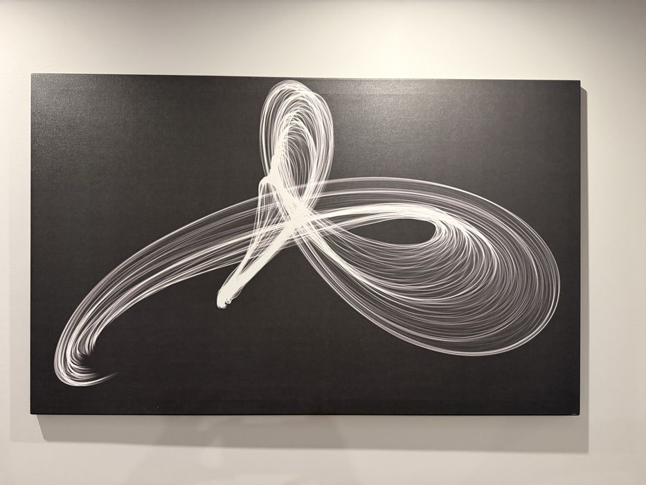 Obraz naścienny na ścianę na plótnie czarno biały z abstrakcją