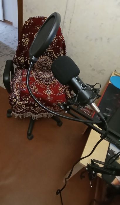 Професійний мікрофон.