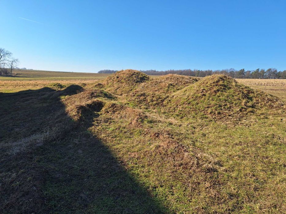 Oddam za darmo ziemię