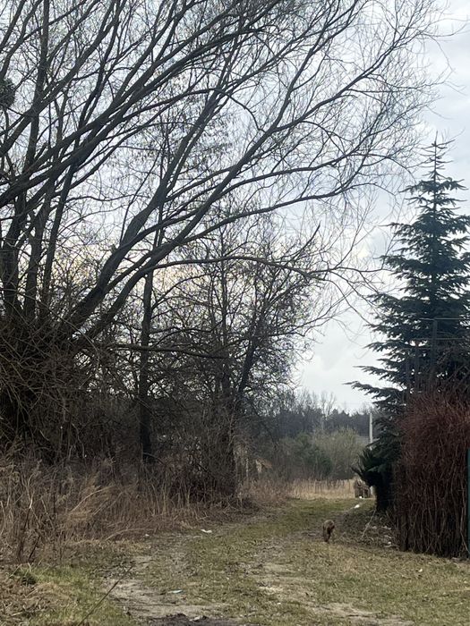 Земельна ділянка/будинок продаж