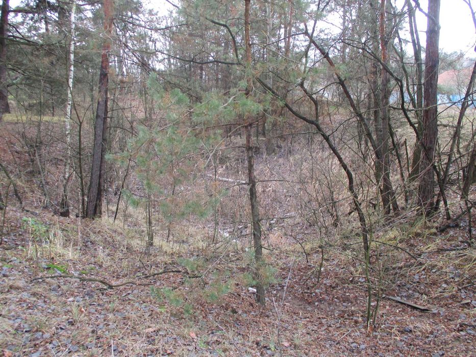 Продаж земельної ділянки 22,47 сот. Київська обл., с.Жукин  9100$