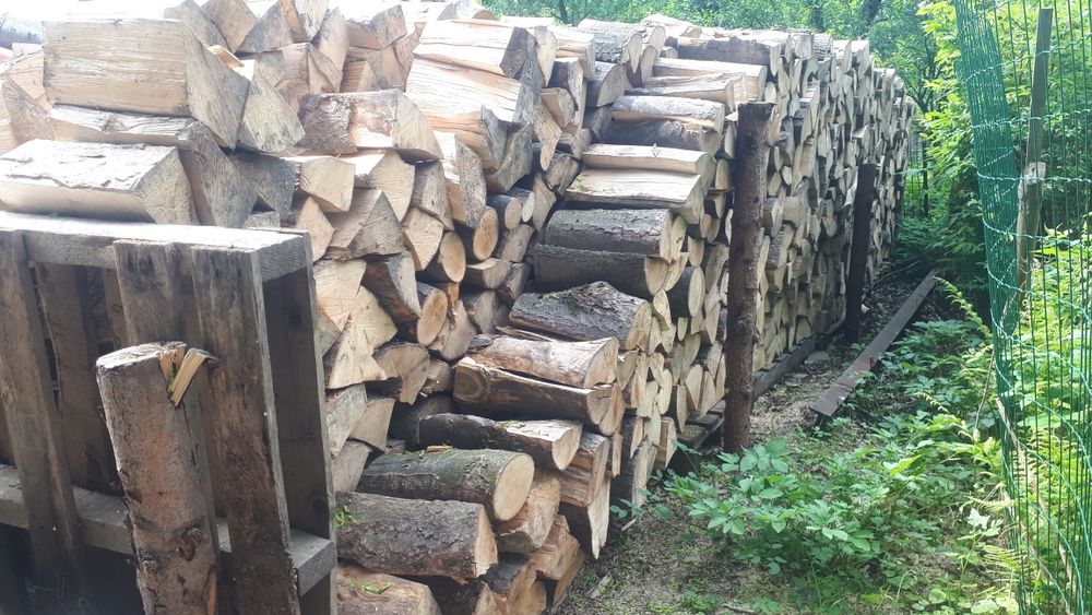 Drewno drzewo jawor  transport gratis