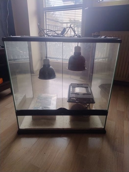 Terrarium 60x45x60 + wyposażenie