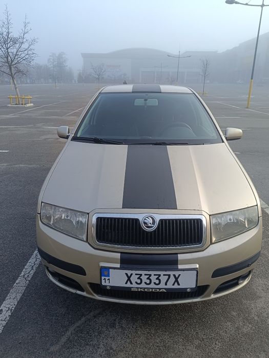 Skoda Fabia 2005 універсал