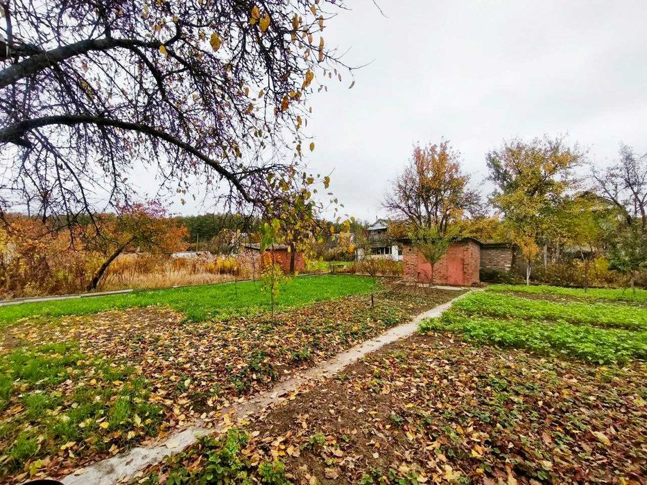 Гарна дача з доглянутою ділянкою 5 соток. Біля Чернігова с.Рижики (SP)