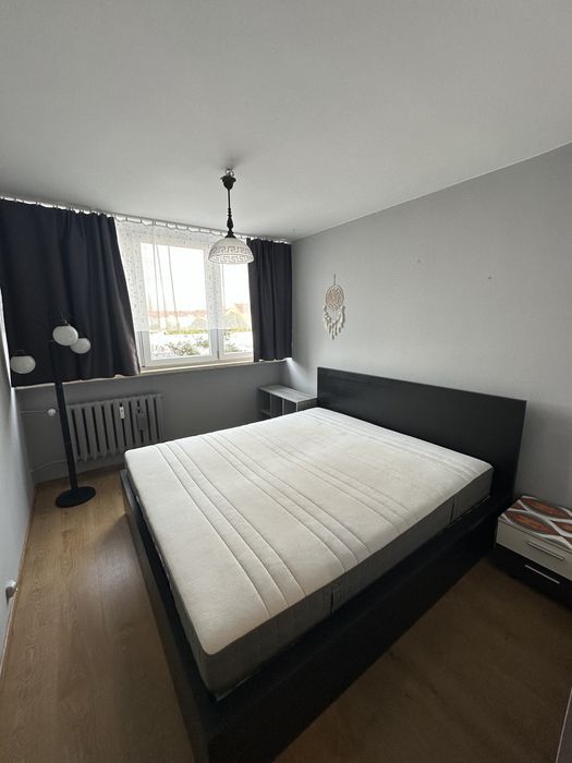 Apartment in Legnica, Stare Miasto, Przedmieście Głogowskie - Widok 2