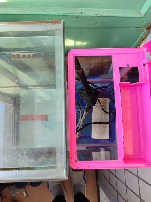 Акваріуми для рибок