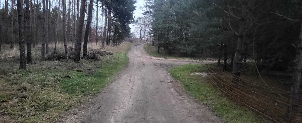 Działka pod zabudowę w spokojnej okolicy