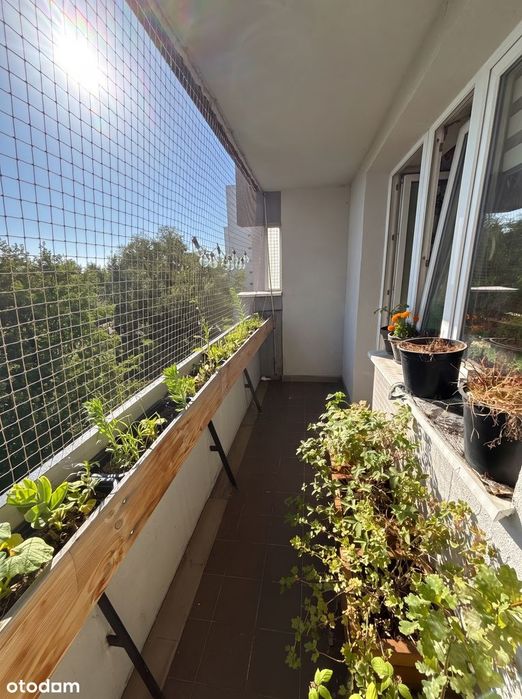 Słoneczne, rozkładowe 3 pokoje (63m²) Tarchomin. Do aranżacji - Widok 5