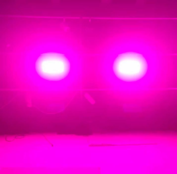 2 шт. 200W LED RGBW стробоскопи