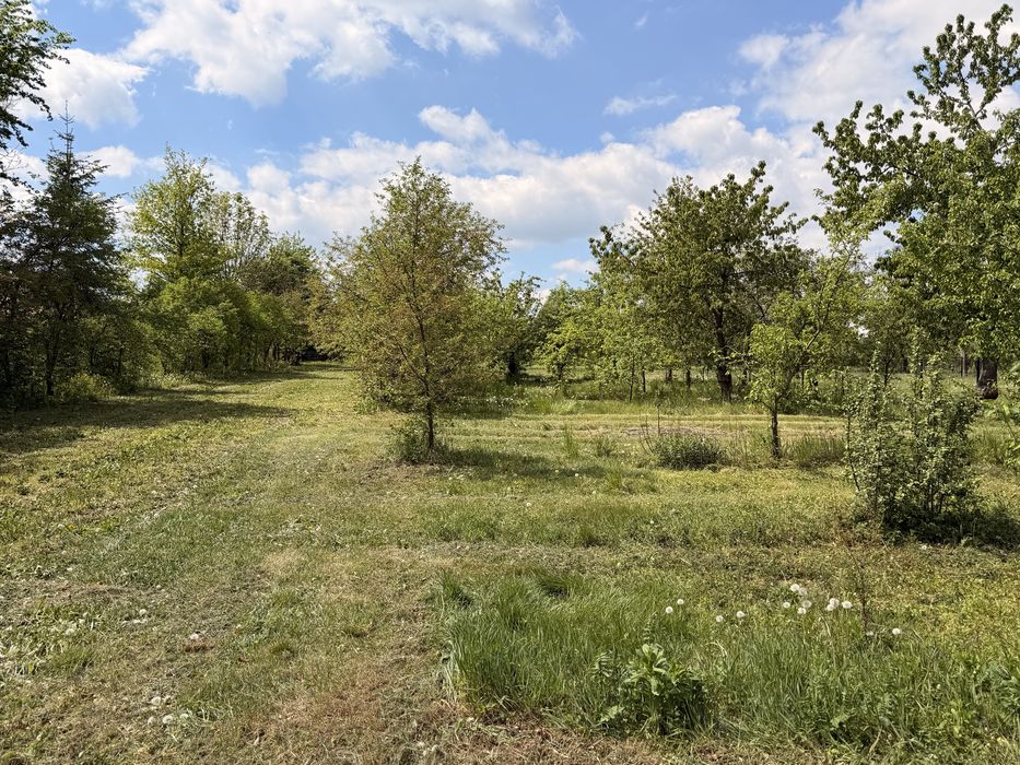 Działka budowlana / 0,12 ha / Annopol ul. Polna - Widok 4