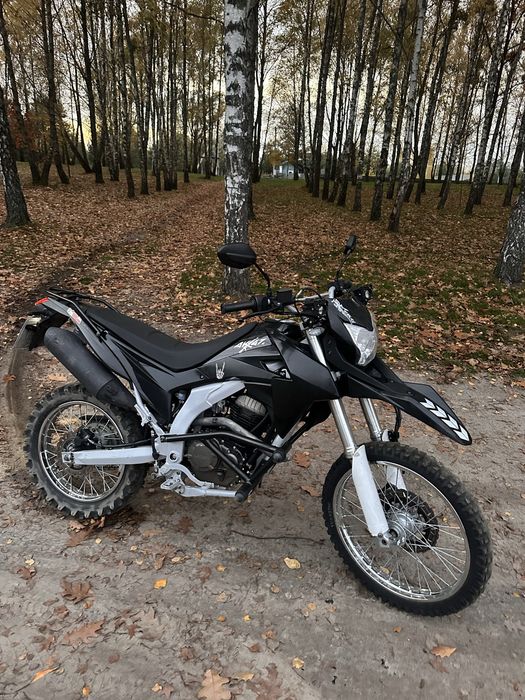 Продам лось 250.