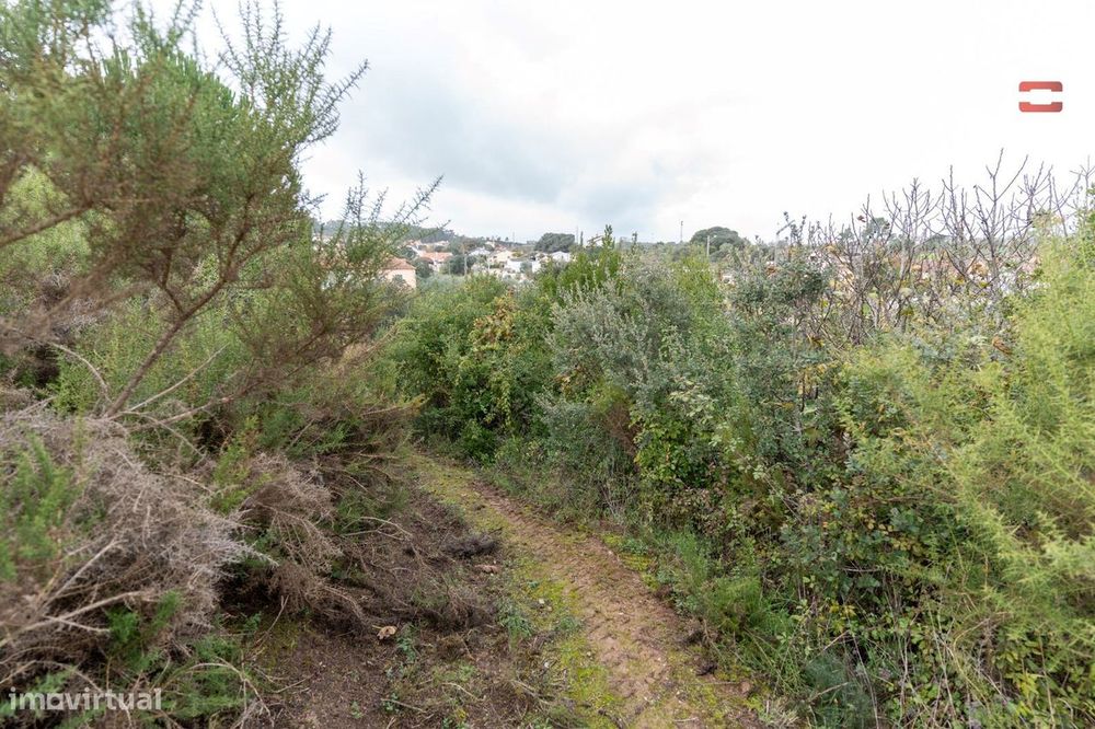 Terreno Com 1576 M² Em Atouguia