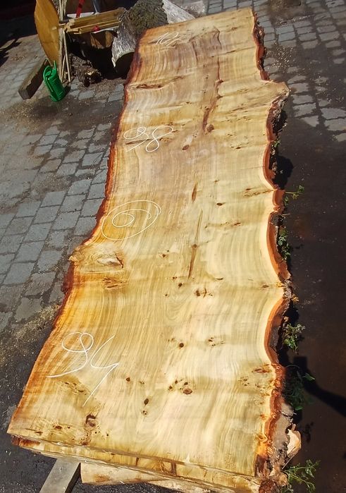 Foszty topola Długość 390 cm na stół monolit