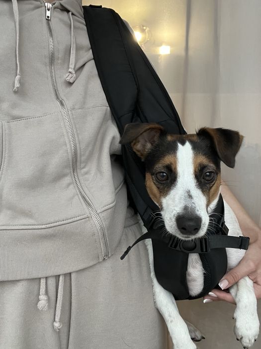 Сумка рюкзак переноска для тварин розмір М 5-8кг