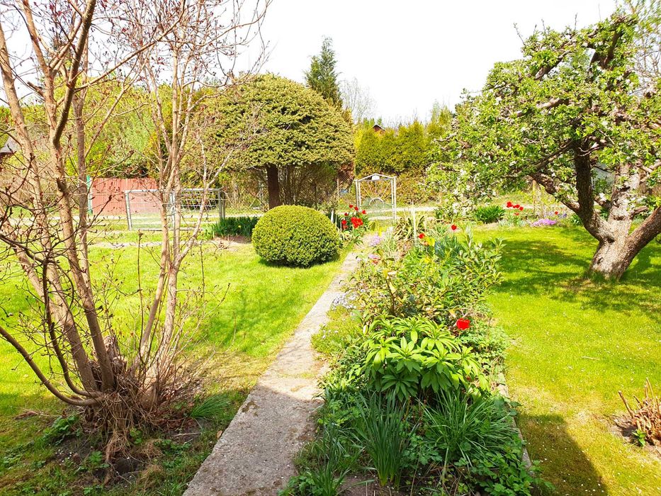 Podwójną działkę (2x 360 m²) ROD na Wójtowej Roli odstąpię - Widok 2