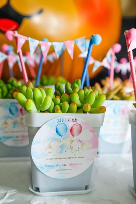 Lembranças suculentas