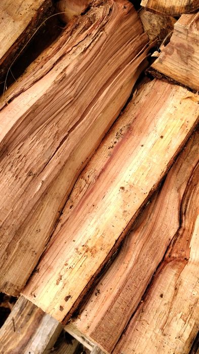 Drewno do wędzenia śliwa