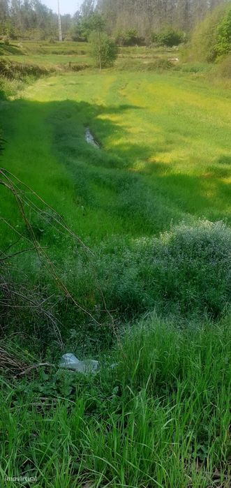 Terreno rústico para cultura em Canedo