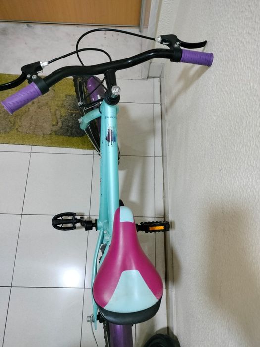 Bicicleta frozen