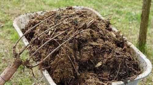 Продам        гній