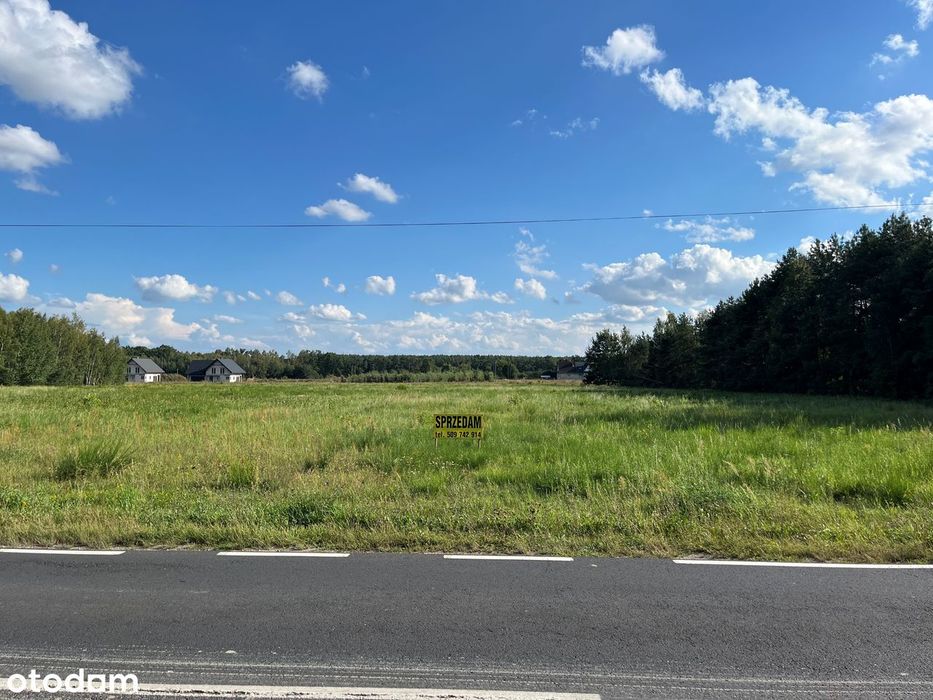 Działka budowlana 2 ha | możliwość podziału od 1000 m² - Widok 2