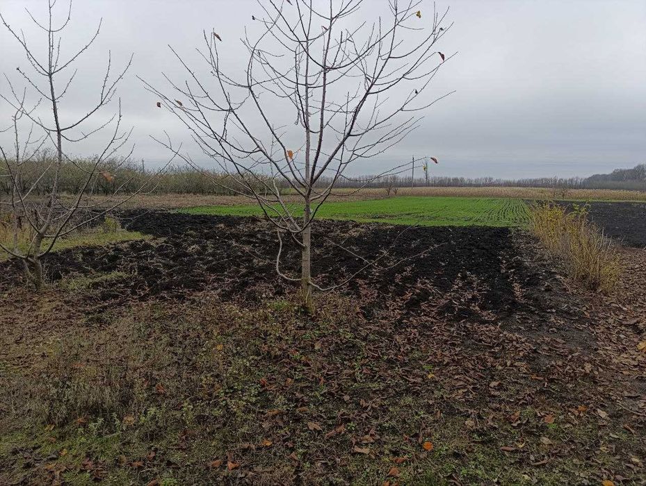 Житловий будинок. с.Серпневе.Валківський район.Харківська область