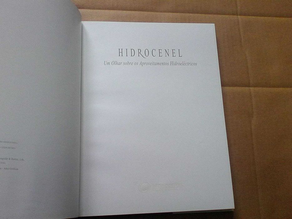 Hidrocenel: um olhar sobre os aproveitamentos hidroeléctricos
